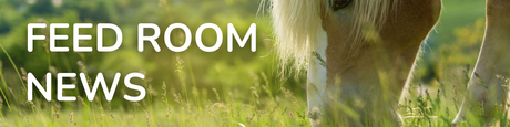 How can diet effect EMS? From The Pure Feed Company-Barnstaple Equestrian Supplies