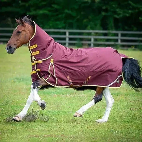 Combo Turnout Rugs For Horses