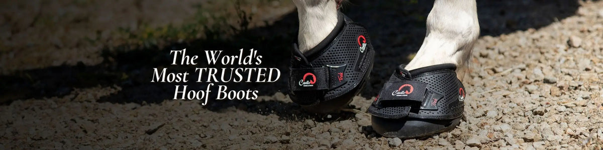 Black mesh horse hoof boots with red accents and logo designed for protection in boots poultice styles collection