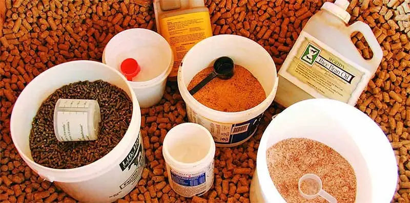 Horse Supplements