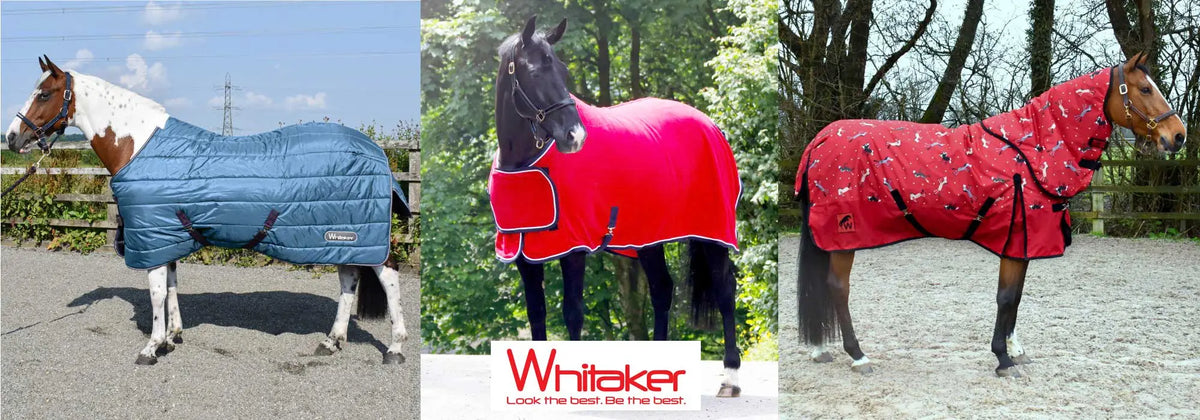 Tapis De Cheval John Whitaker Ratrick Combo AirFlo Imperm Able Rouge 863034