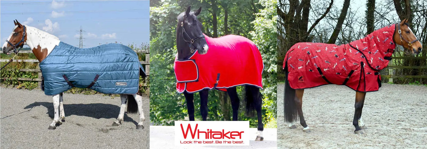 Red quilted horse blanket with black trim and small logo on chest from john whitaker horse rugs collection