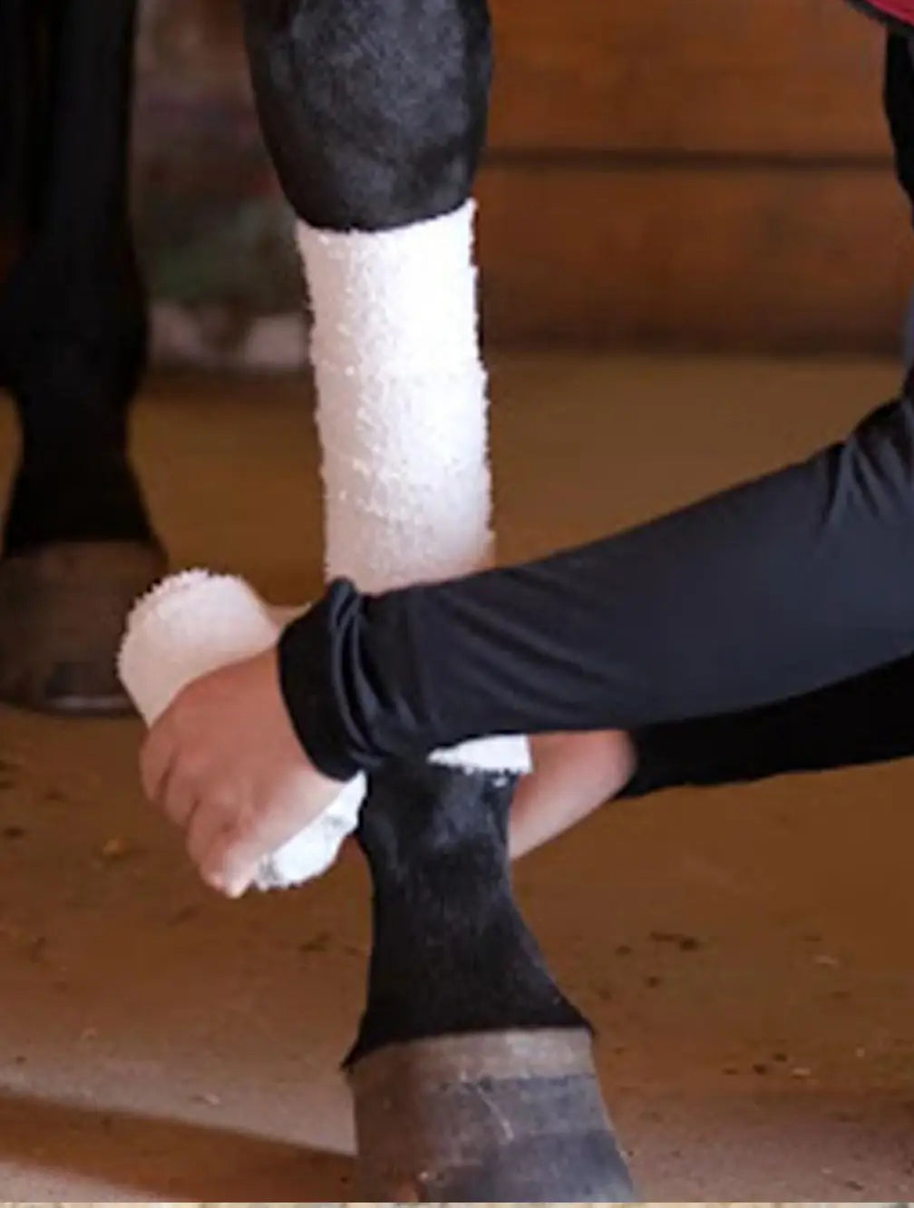 Leg Bandages & Pads