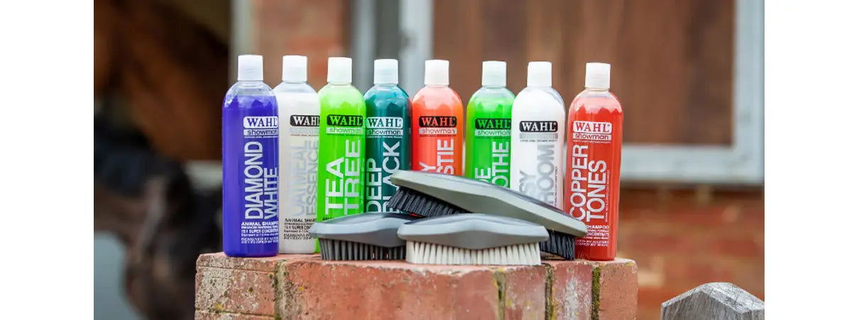 A set of colorful wah professional pre clipping shampoos in purple green teal orange and red on a brick surface