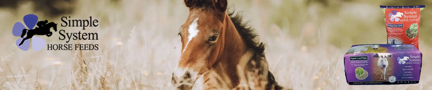A brown horse with a white blaze stands in tall grass next to simple system horse feeds horse feed bags for equestrian use