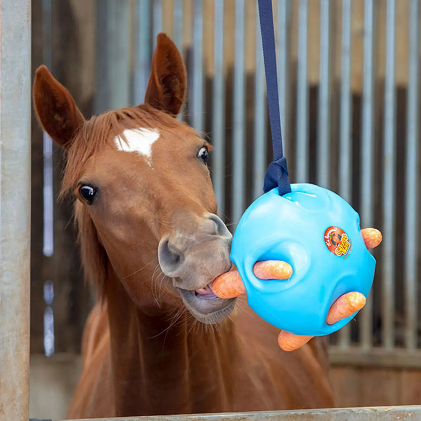 Blue rubber horse toy with orange spikes and hanging strap from barnstaple equestrian supplies horse toys collection