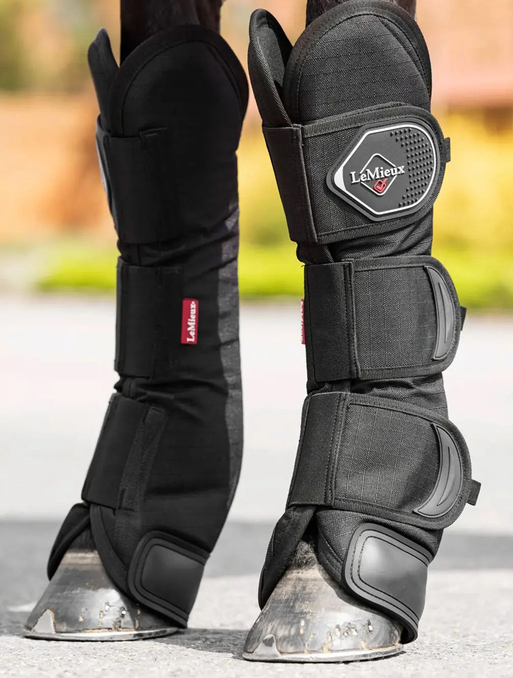 Travel Boots