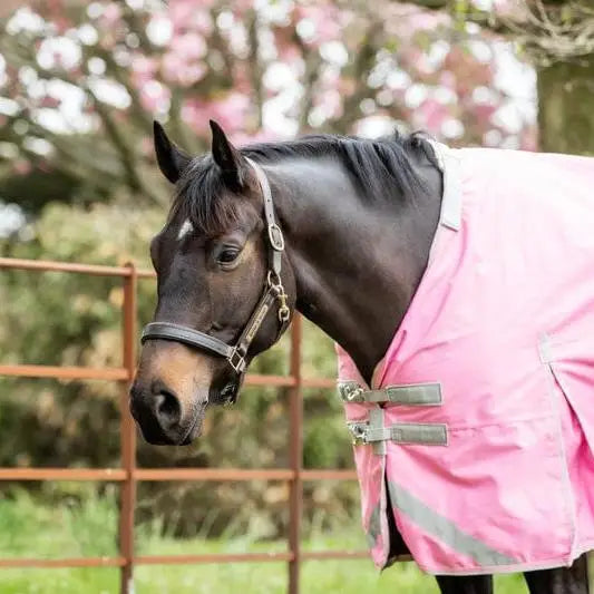 Swish 100g Detachable Neck Turnout Rug - Baby Pink 4'3 Turnout Rugs