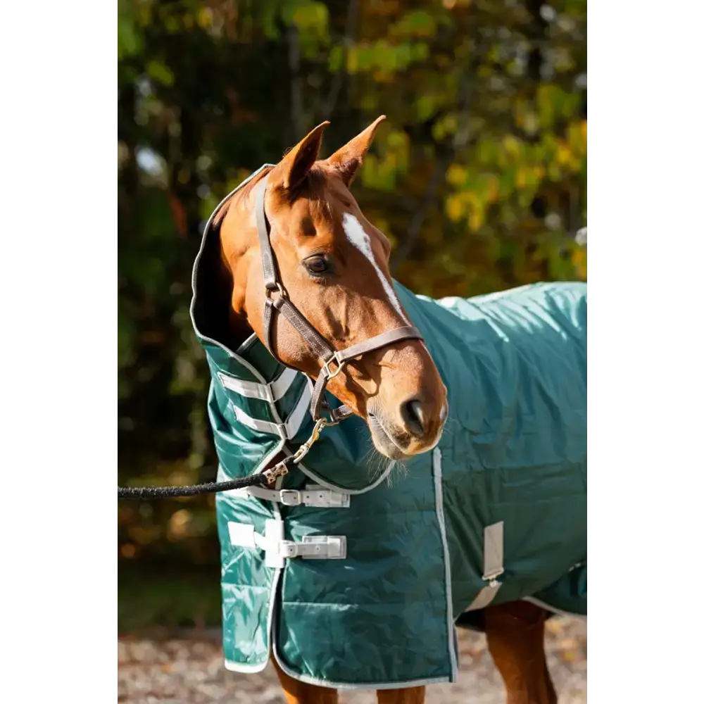 Swish 100g Stable Rug With Detachable Neck - Hunter Green 4'3 Stable Rugs