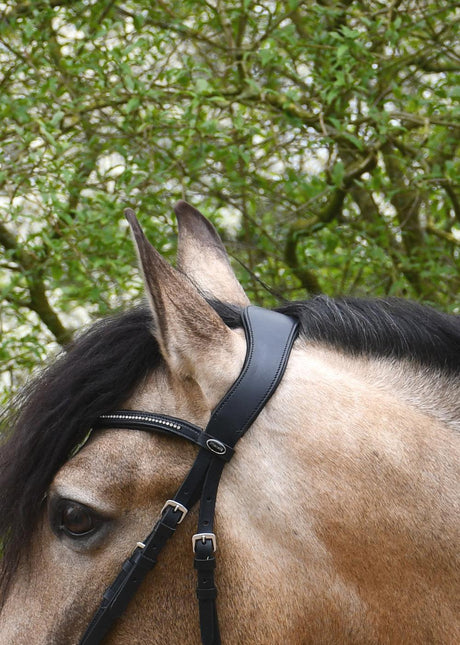 Heritage Anatomical Cavesson Bridle Cavesson Bridle Barnstaple Equestrian Supplies