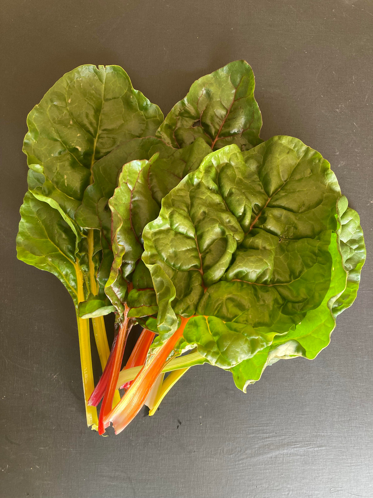 Organic Chard