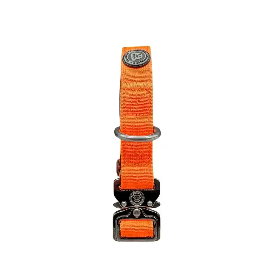 2.5cm Nylon BTactical™ Collar | Citrus Orange Small Dog Collar