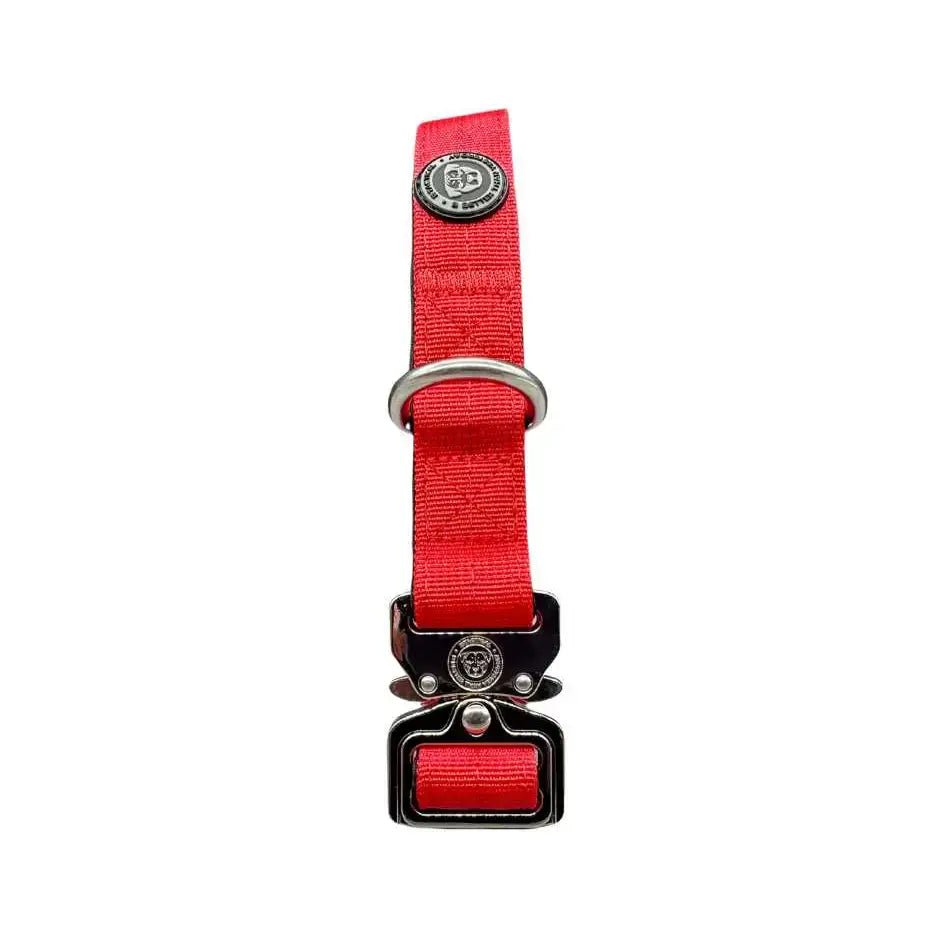 Red nylon btactical dog collar with silver buckle black plastic accents in citrus red nylon for everyday use