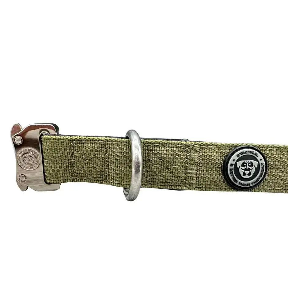 Olive green nylon btactical dog collar with silver buckle and d-ring featuring black and white branded emblem