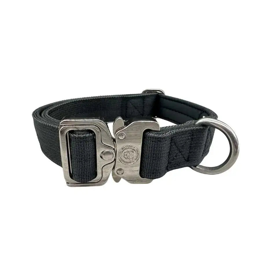 Black nylon btactical collar with sturdy silver buckle and d-ring in 2.5cm width for strong dog use