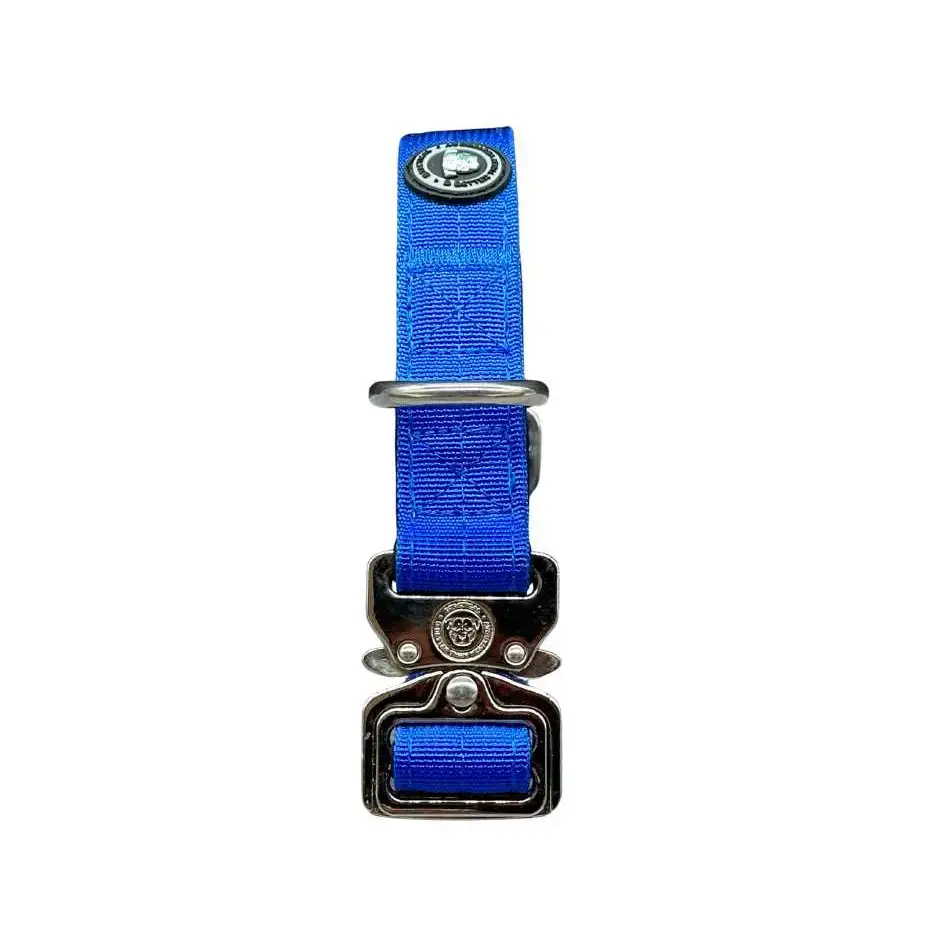 Royal blue nylon btactical dog collar with silver metal hardware and branded buckle for active lifestyle use