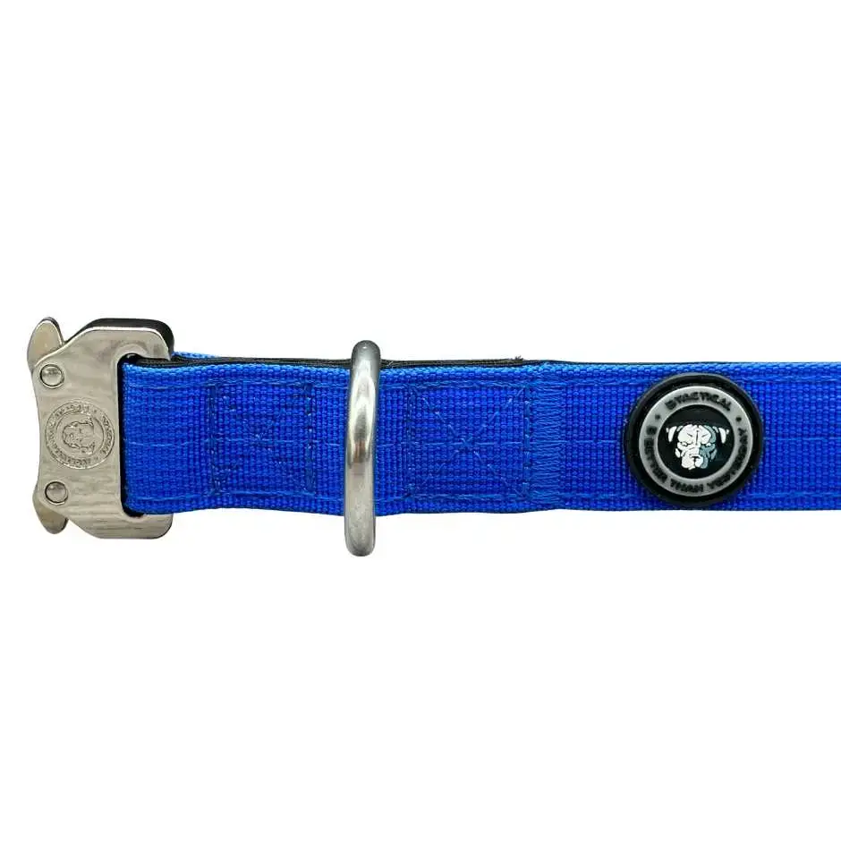 2.5cm Nylon BTactical™ Collar | Royal Blue Small Dog Collar
