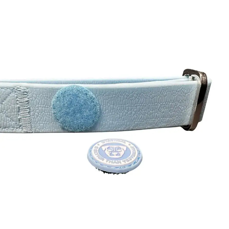 Pastel blue pvc btactical dog collar with textured leather, fuzzy attachment, and silver buckle, 2.5cm wide