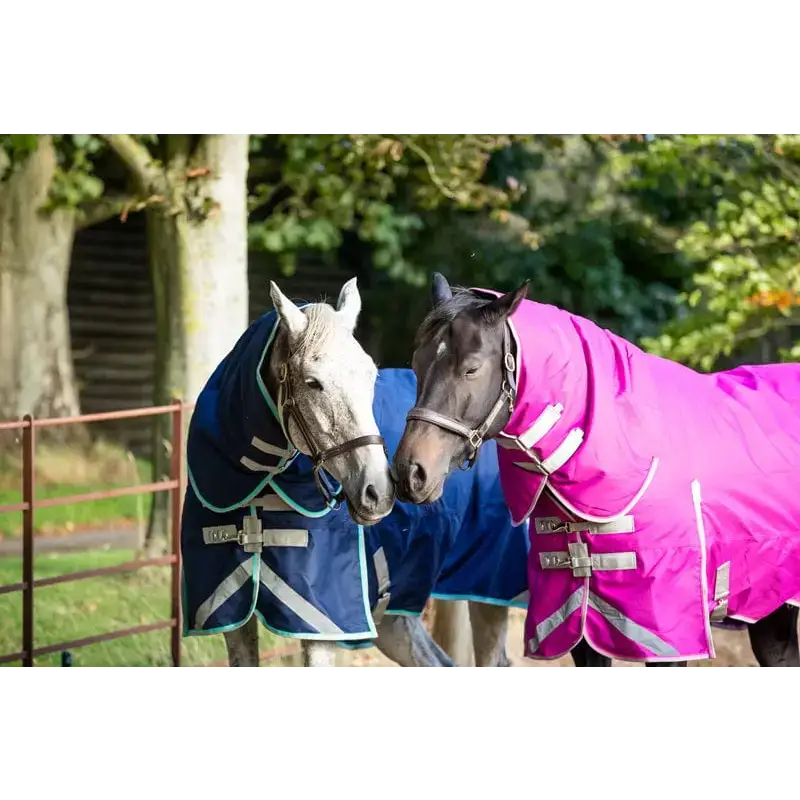 Swish 450g Ultimate Fixed Neck Turnout Rug - Mulberry 4'3 Turnout Rugs