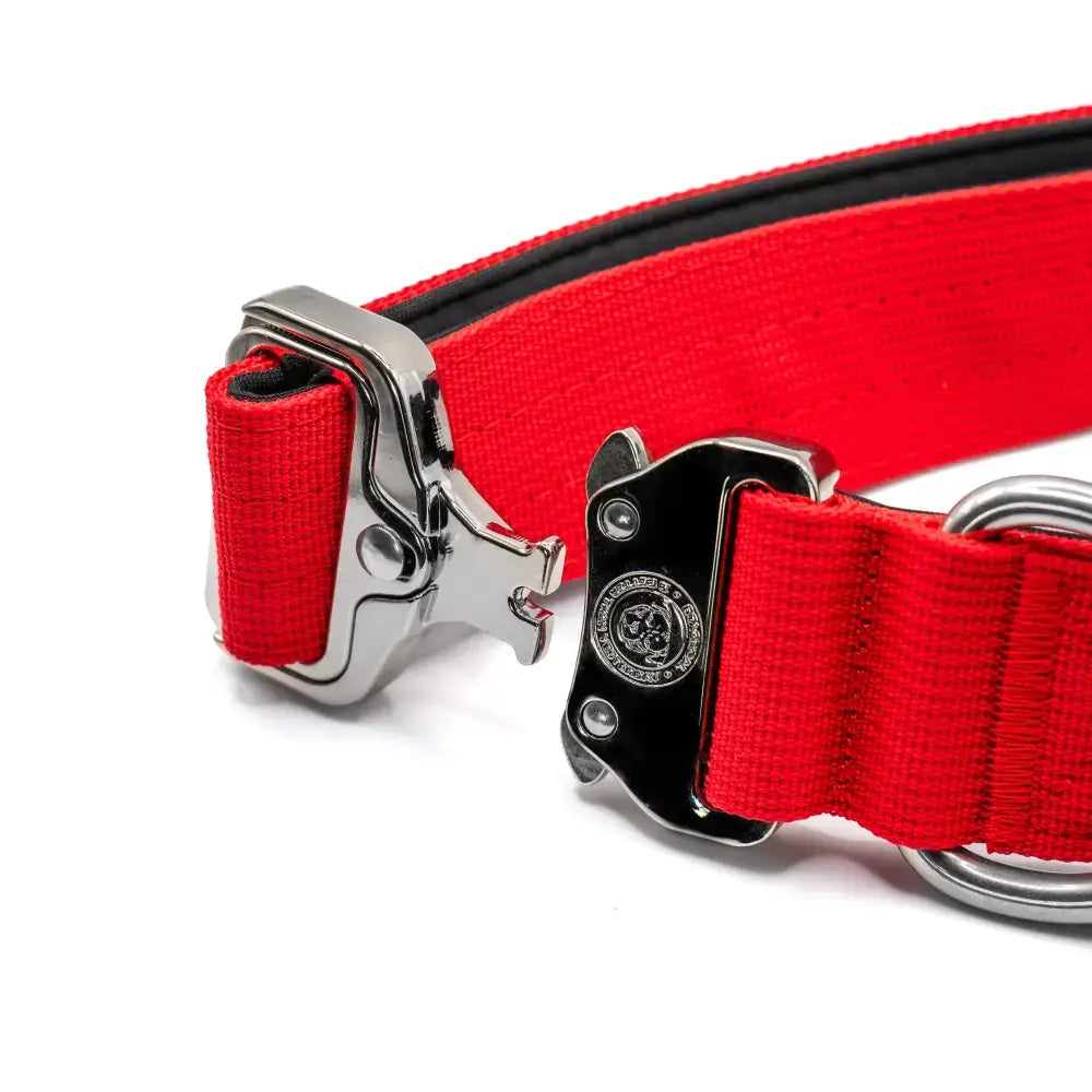 Red nylon 4cm nylon btactical collar with citrus red color and silver black metal buckle featuring engraved logo
