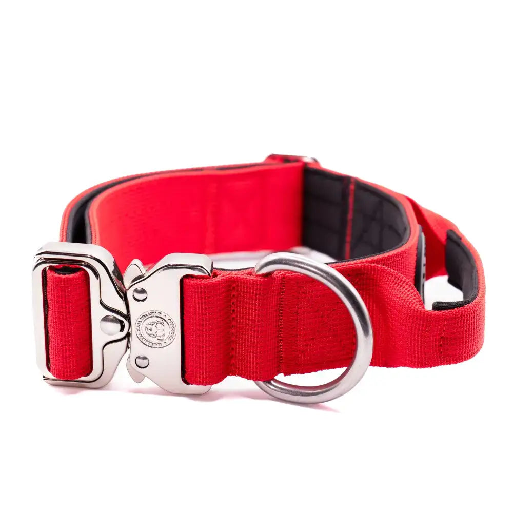 Red nylon 4cm nylon btactical dog collar with silver buckle and d-ring in citrus red color