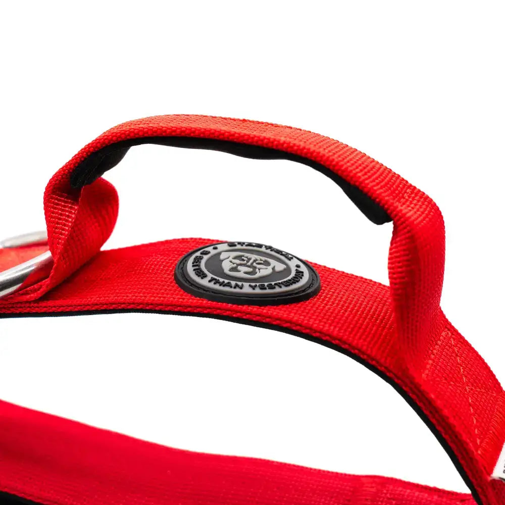 Red nylon 4cm nylon btactical dog collar in citrus red with black trim and circular logo patch