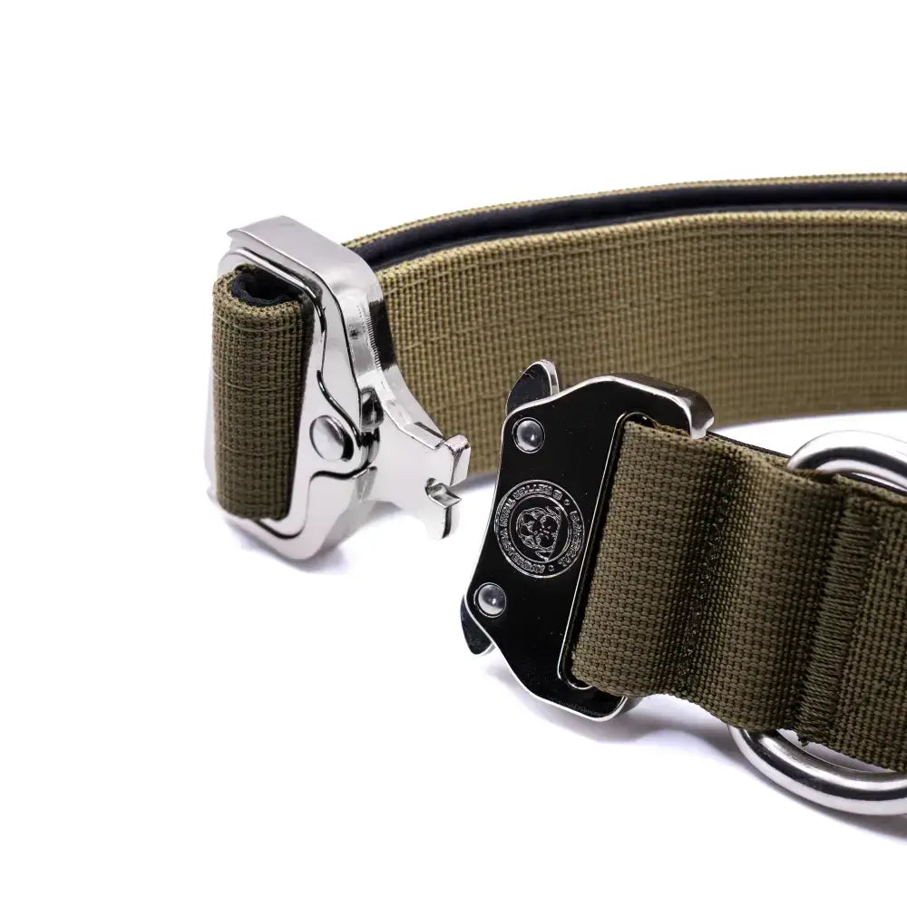 Olive green 4cm nylon btactical dog collar with a silver black metal buckle and engraved logo in collar khaki green