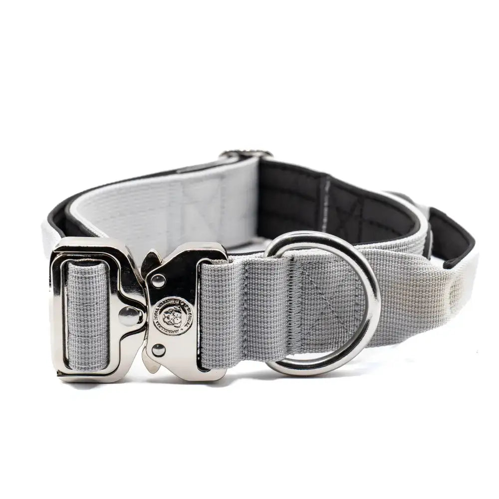 Gray nylon btactical dog collar 4cm wide in misty grey with silver metal buckle and d-ring for secure use