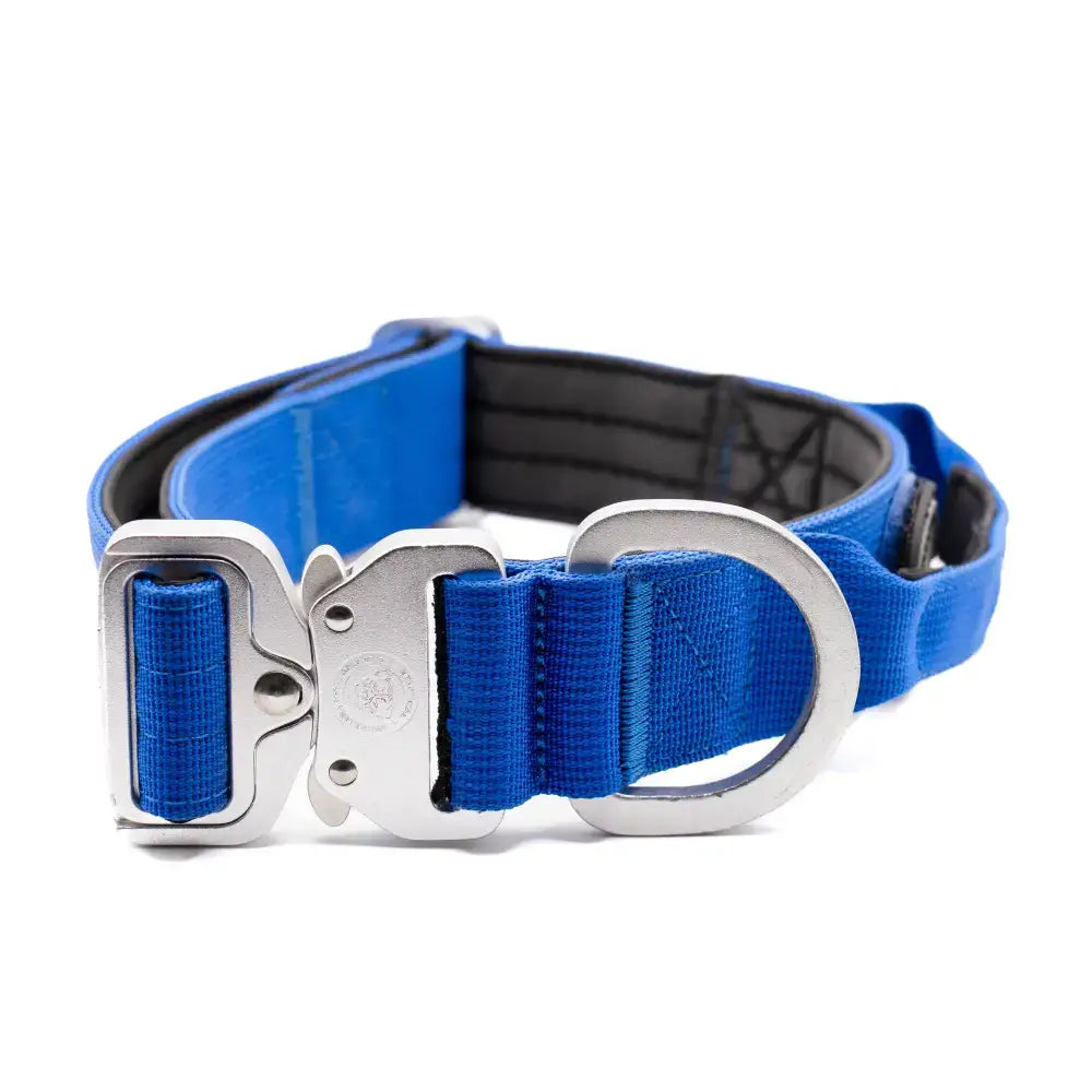 Blue 4cm btactical collar with triple stitched nylon and neoprene lining featuring silver buckle and d-ring