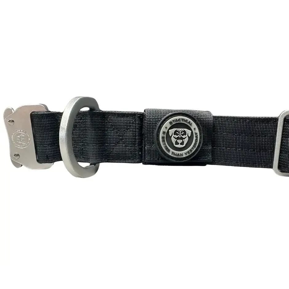 4cm Nylon BTactical™ Tracker Collar | Midnight Black - NEW Small Dog Collar