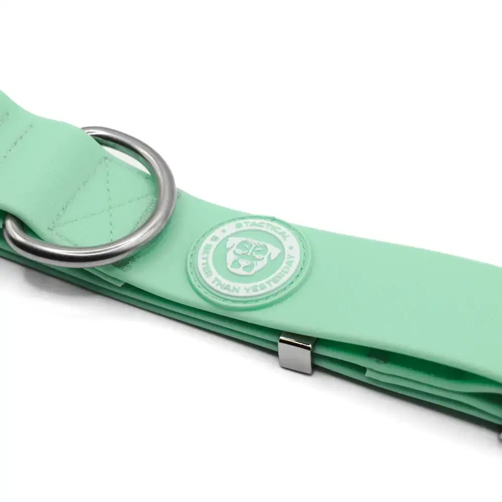 Mint green 4cm pvc btactical dog leash with silver metal ring and clasp for matching pastel green btactical dog collar