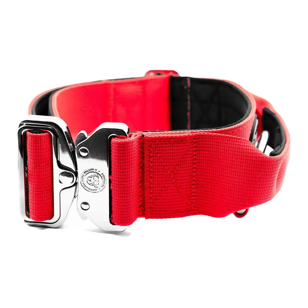 Red nylon 5cm nylon btactical collar with silver buckle and black lining in citrus red for dogs