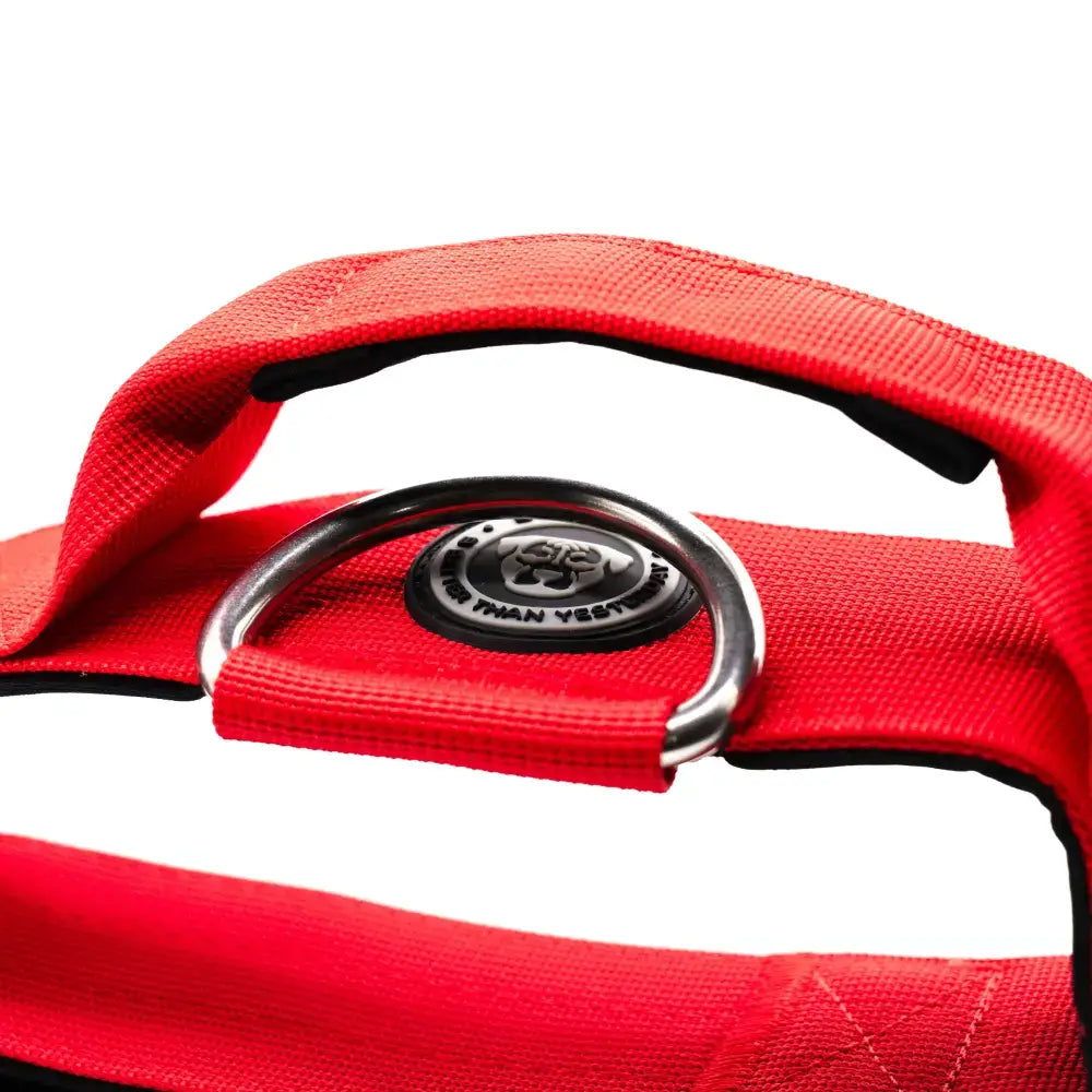 Red nylon 5cm nylon btactical dog collar in citrus red with silver metal d-ring and black btactical emblem