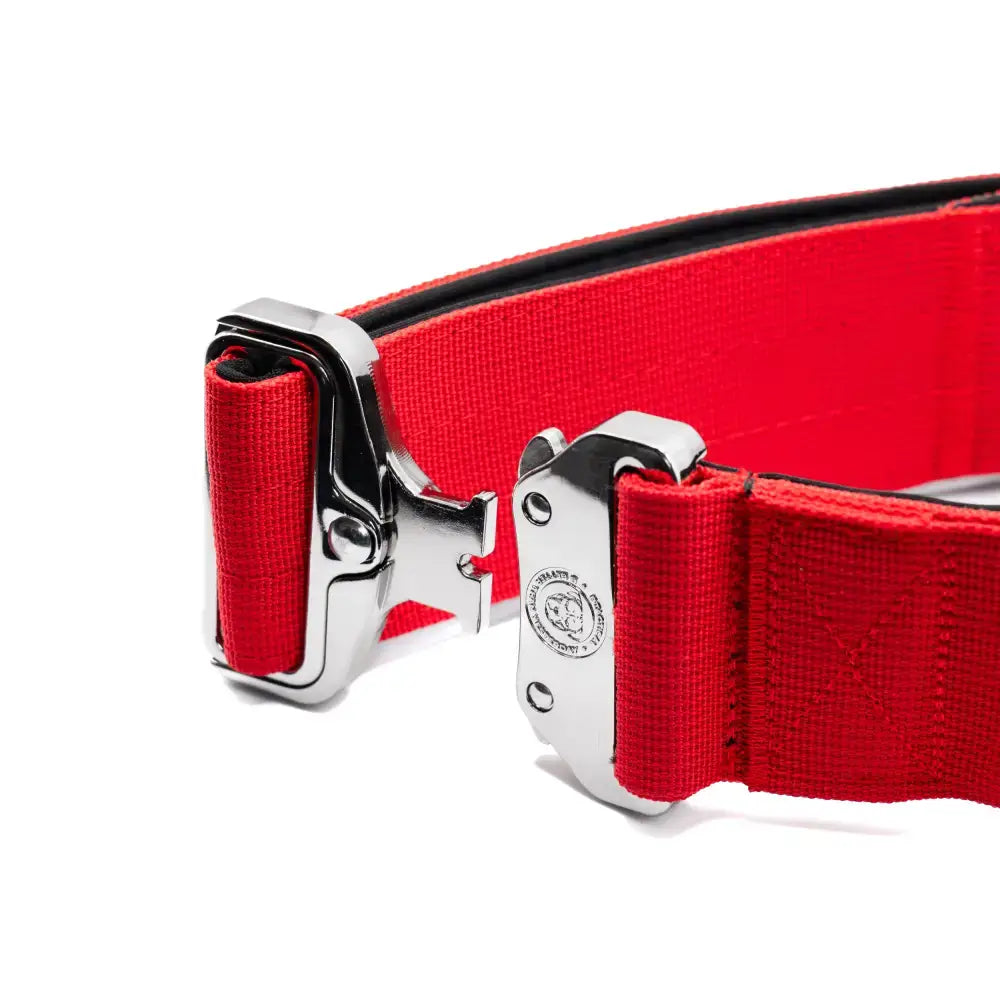 Red nylon 5cm nylon btactical dog collar in citrus red with silver metal buckle and side-release buckle
