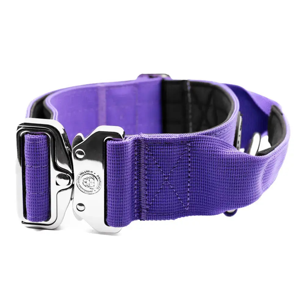 Purple nylon btactical dog collar 5cm wide with silver metal buckle and black padded interior lavender purple design
