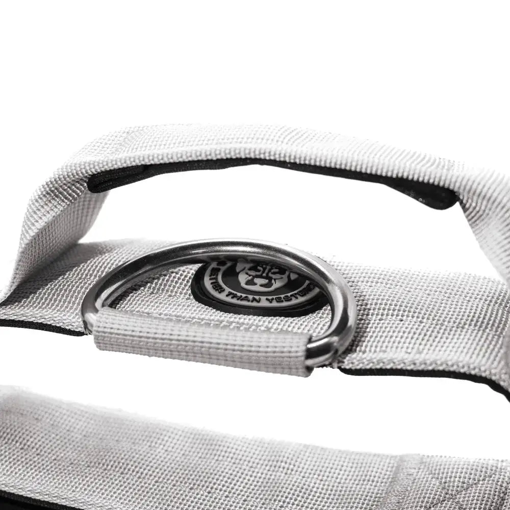 Silver metal d-ring attached to misty grey 5cm nylon btactical dog collar with gray woven fabric strap and black trim