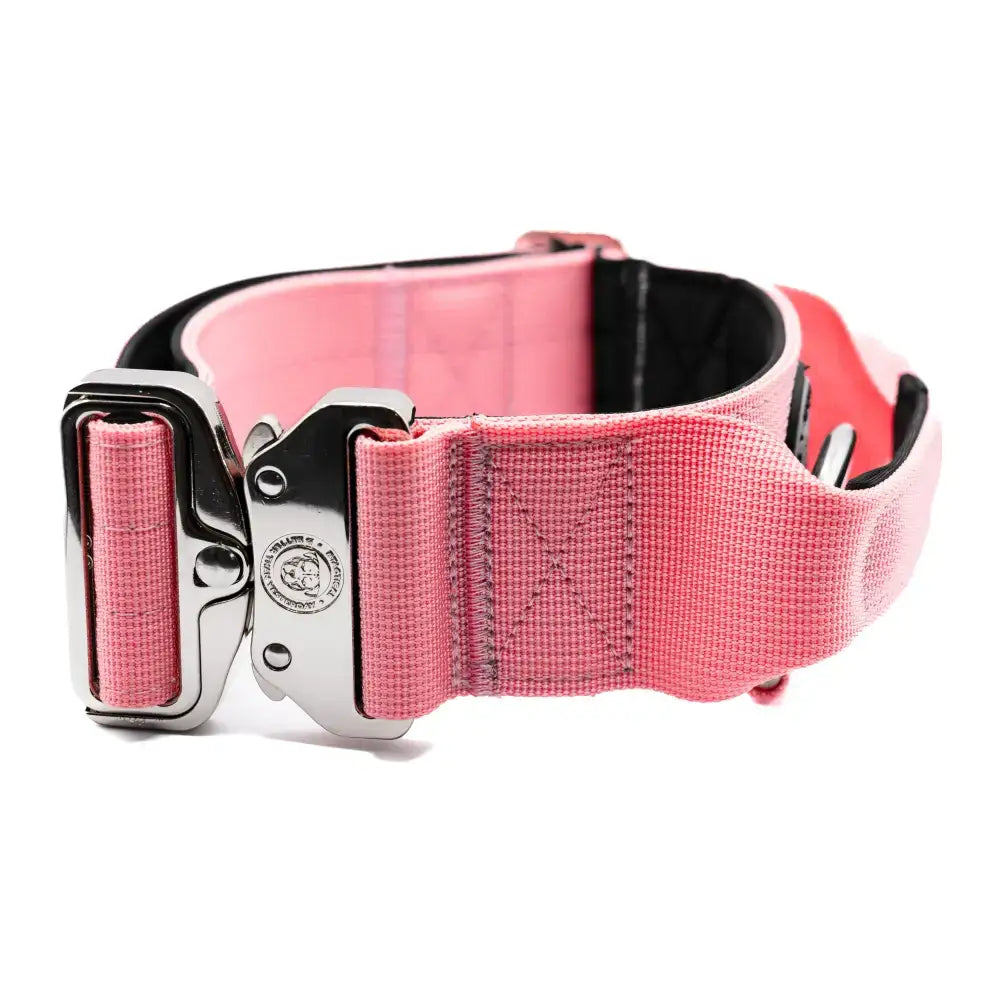 Pretty pink 5cm nylon btactical dog collar with silver buckle and black inner lining for durable comfort