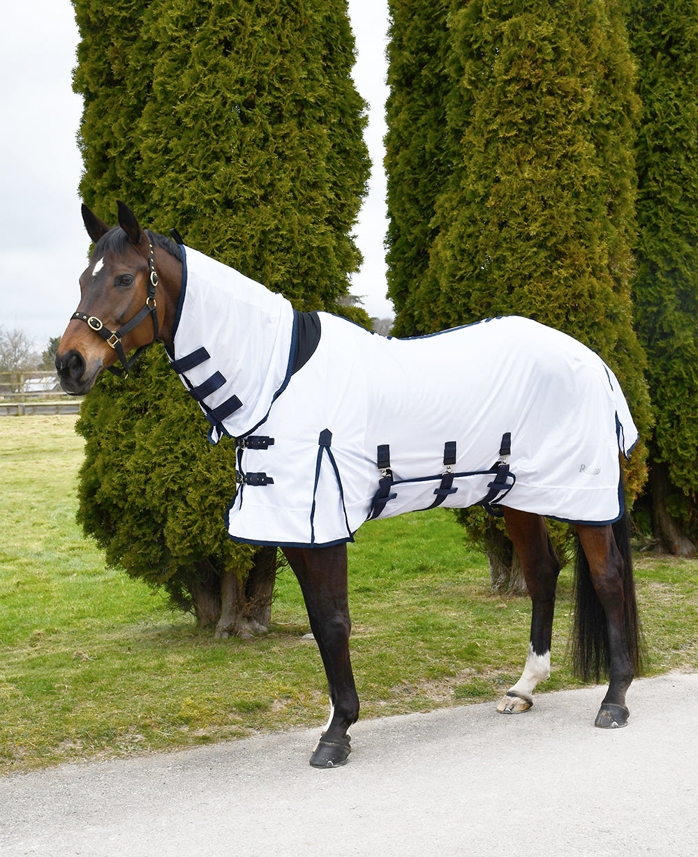 Rhinegold Africa Combo Fly Rugs