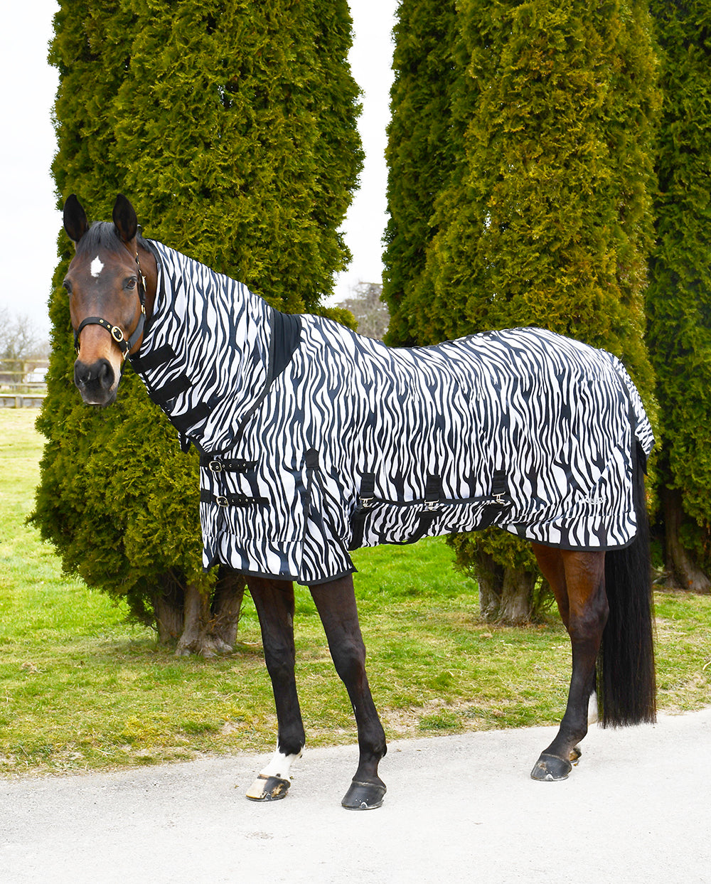 Rhinegold Africa Combo Fly Rugs