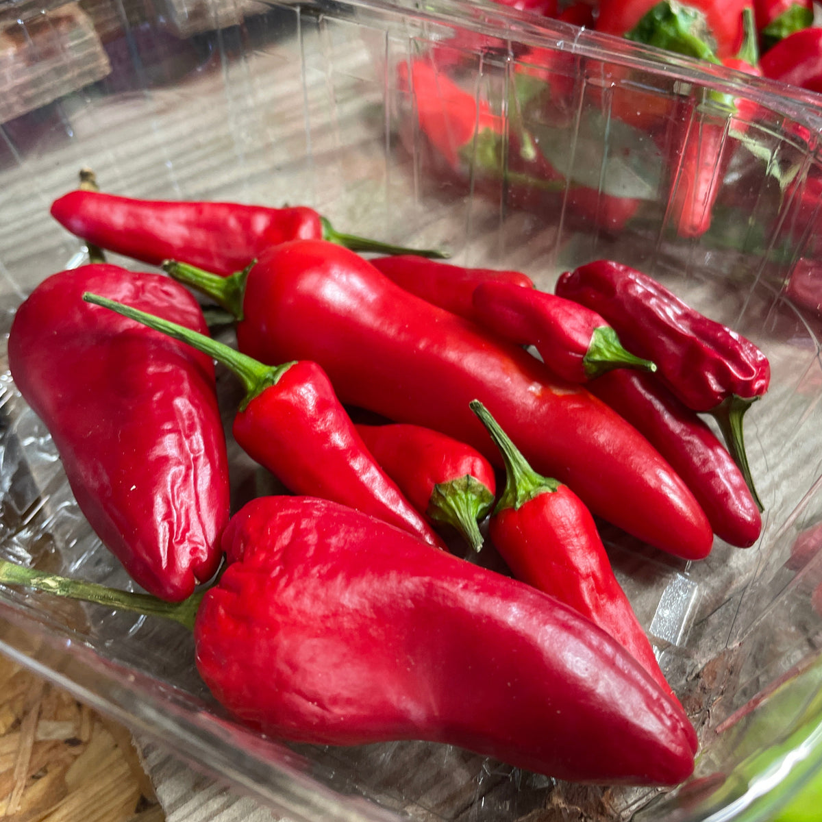 Local Chillies