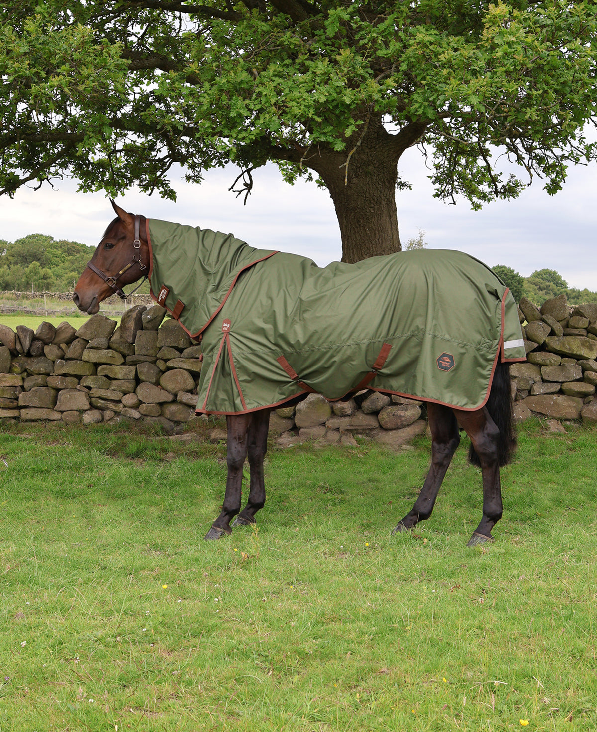 Perf Detachable Neck 50g Lightweight Turnout Rug For Horses