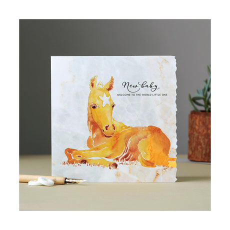 Deckled Edge Fanciful Dolomite Card New Baby Gift Cards Barnstaple Equestrian Supplies