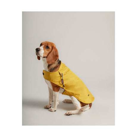 Joules Water Resistant Dog Coat Dog Coat Barnstaple Equestrian Supplies