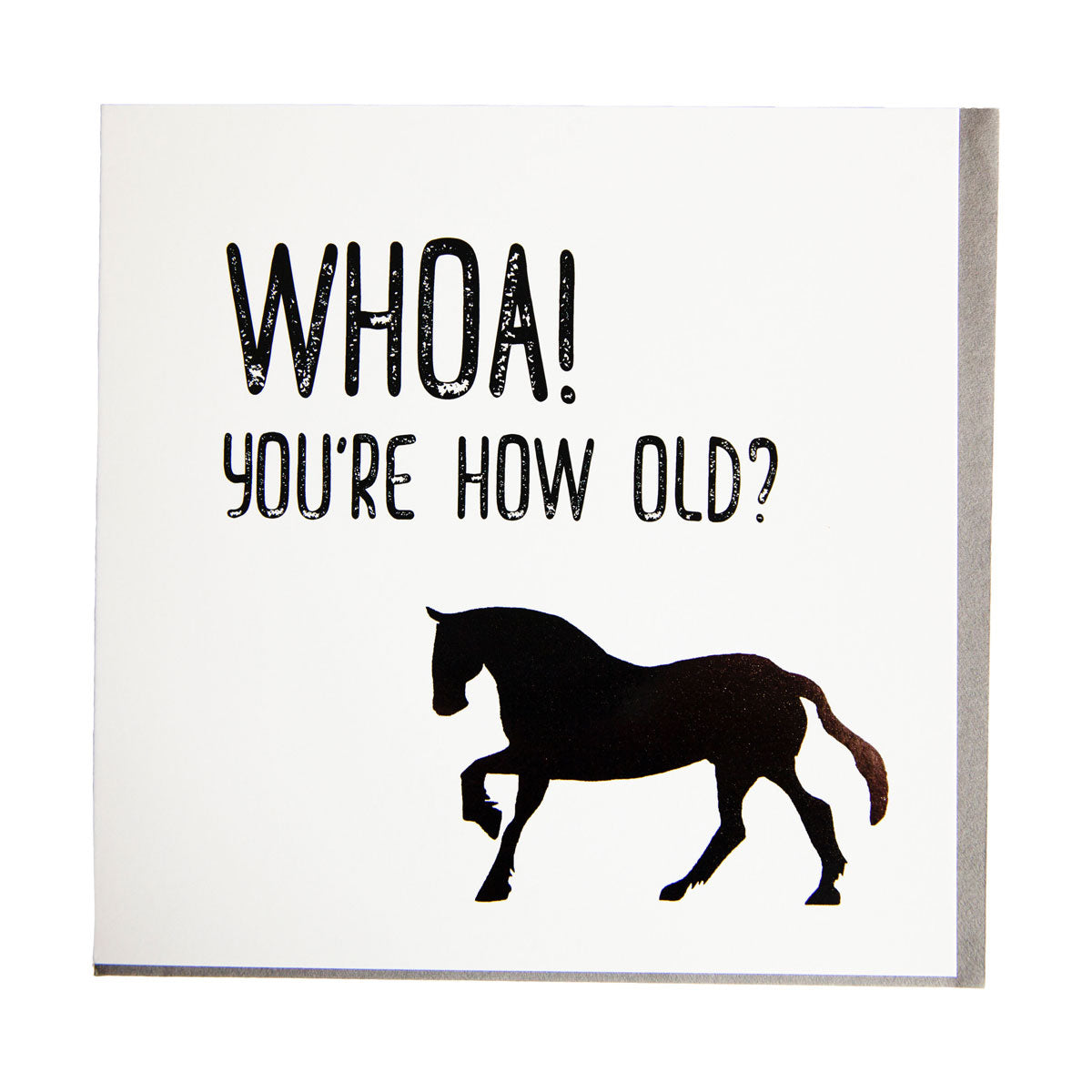 Gubblecote Foiled Greetings Card Horsey Greeting Cards Barnstaple Equestrian Supplies