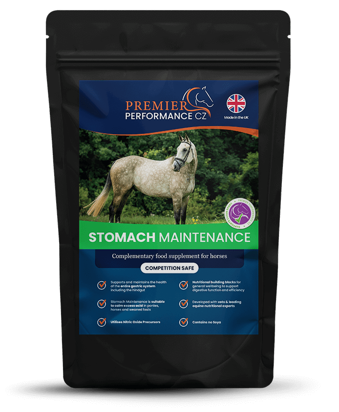 Premier Performance Stomach Maintenance Gut Balancers For Horses Barnstaple Equestrian Supplies