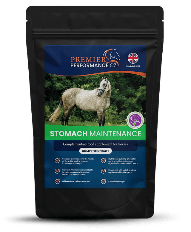Premier Performance Stomach Maintenance Gut Balancers For Horses Barnstaple Equestrian Supplies