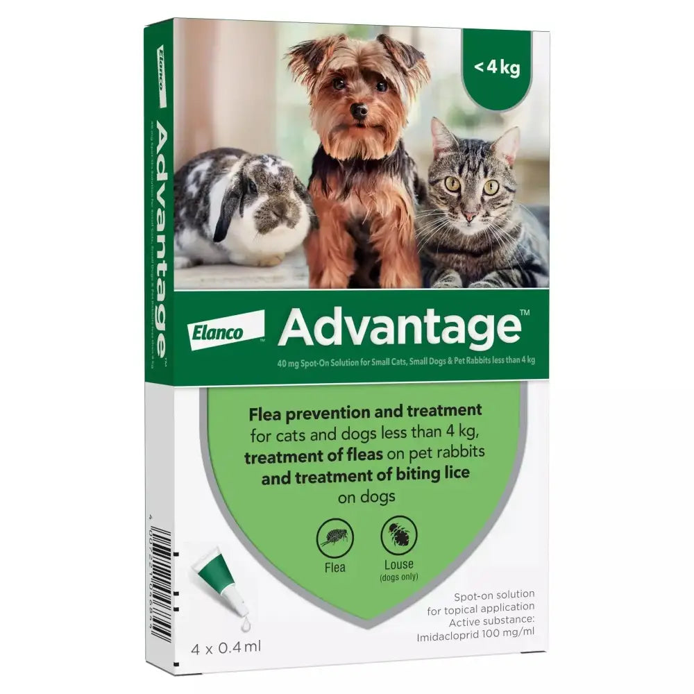 Advantage Spot On Solution 40: For Small Cats, Small Dogs & Pet Rabbits 1 X 4 Pipettes Flea Treatments