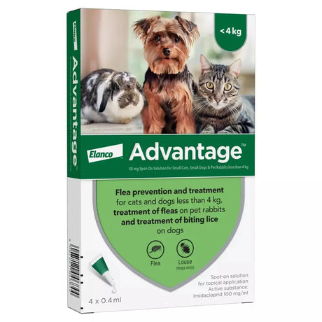 Advantage Spot On Solution 40: For Small Cats, Small Dogs & Pet Rabbits 1 X 4 Pipettes Flea Treatments