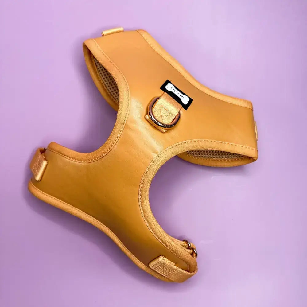 A sleek alfresco pup faux leather dog harness in camel with gold metal hardware from pup chic boutique