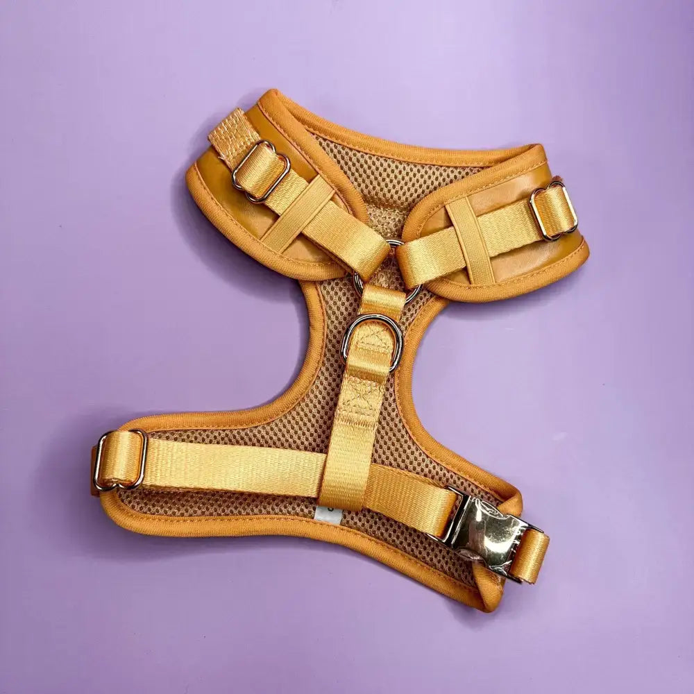 Golden mesh alfresco pup faux leather dog harness with adjustable straps and metallic buckles from pup chic boutique